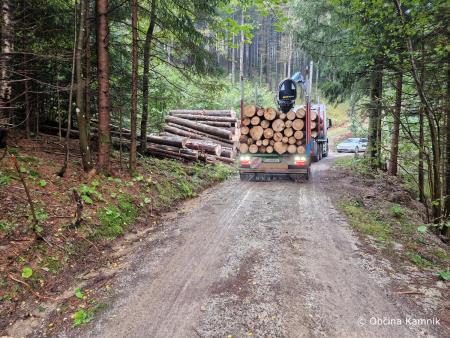 Sanacijska obnova gozdnih cest po poplavah (2)
